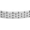 Arden Watch Links Stainless Steel Chain Bracelet