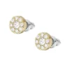 Ellis All Stacked Up Gold-Tone Stainless Steel Stud Earrings