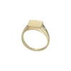 Ellis Gold-Tone Stainless Steel Signet Ring