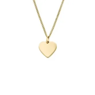 Ellis Heart Gold-Tone Stainless Steel Necklace