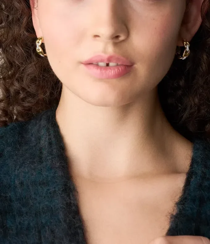 Heritage D-Link Glitz Two-Tone Stainless Steel Hoop Earrings