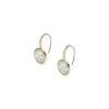 Merrit Classic Mother-of-Pearl Gold-Tone Stainless Steel Drop Earrings